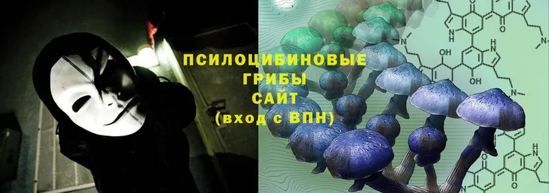 Галлюциногенные грибы Cubensis  Бикин 