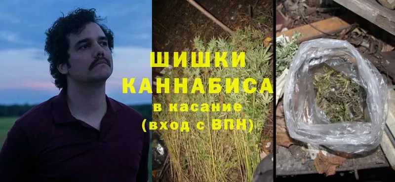 где продают   Бикин  Бошки марихуана Bruce Banner 